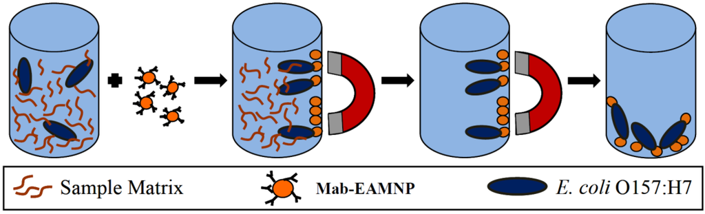 Biosensors 05 00069 g001 1024