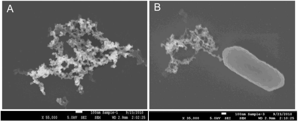 Biosensors 05 00069 g002 1024