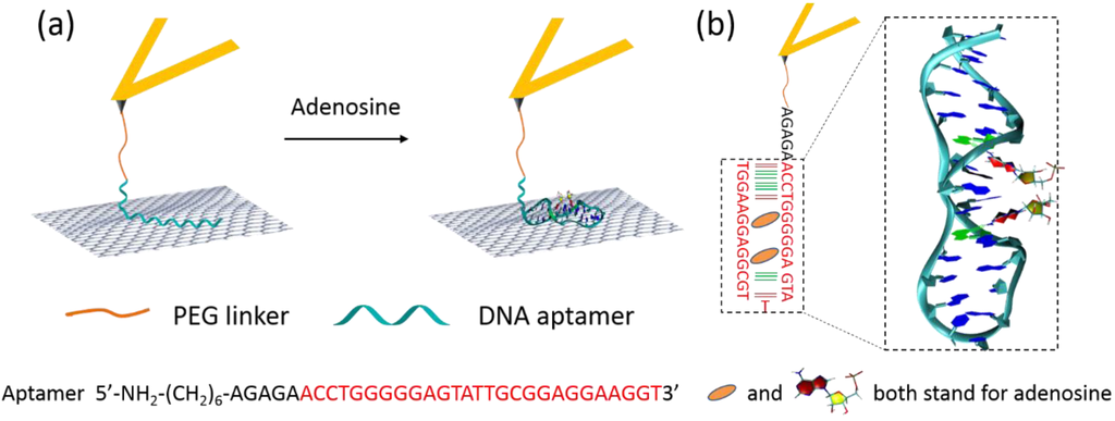 Biosensors 05 00085 g002 1024