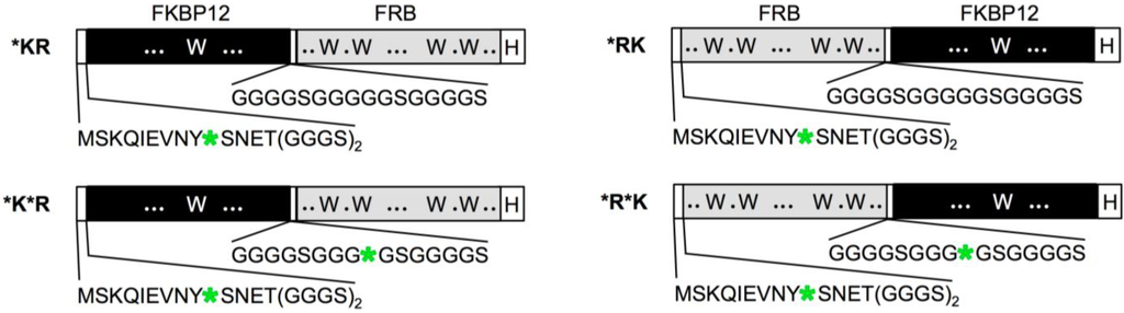 Biosensors 05 00131 g002 1024
