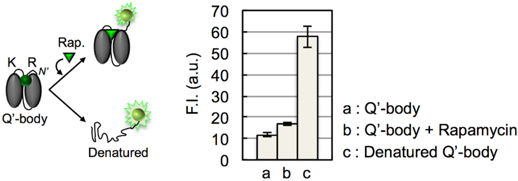 Biosensors 05 00131 g005 1024