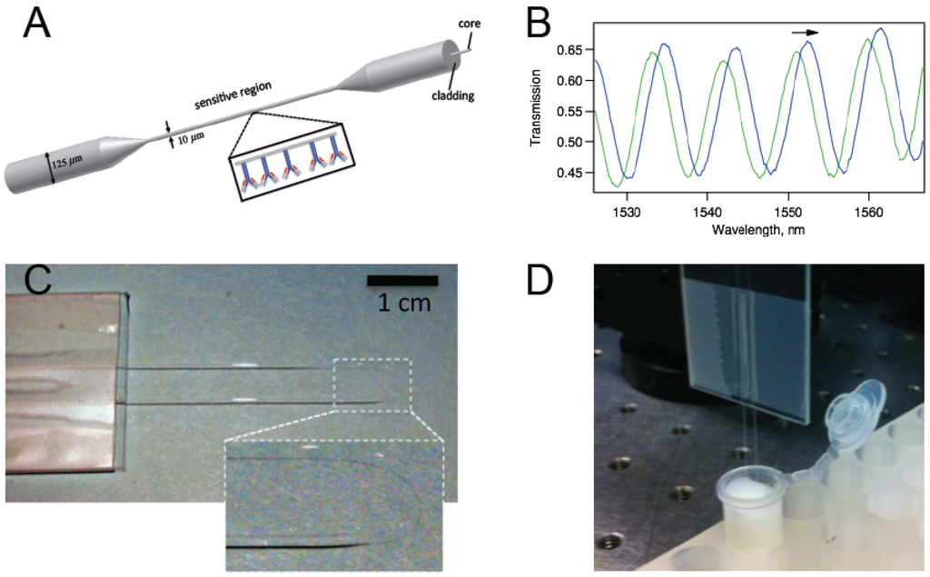 Biosensors 05 00158 g001 1024