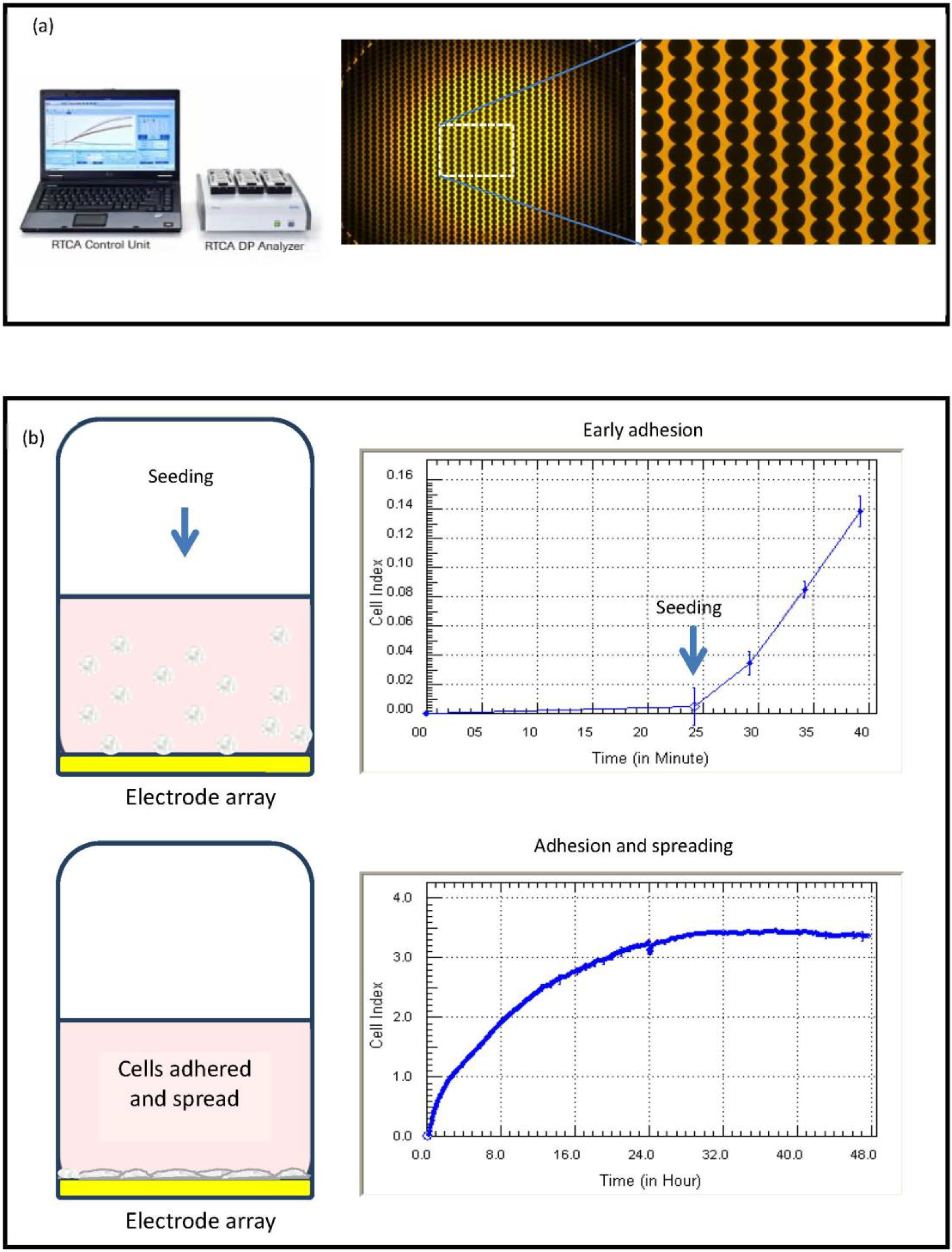 Biosensors 05 00199 g001