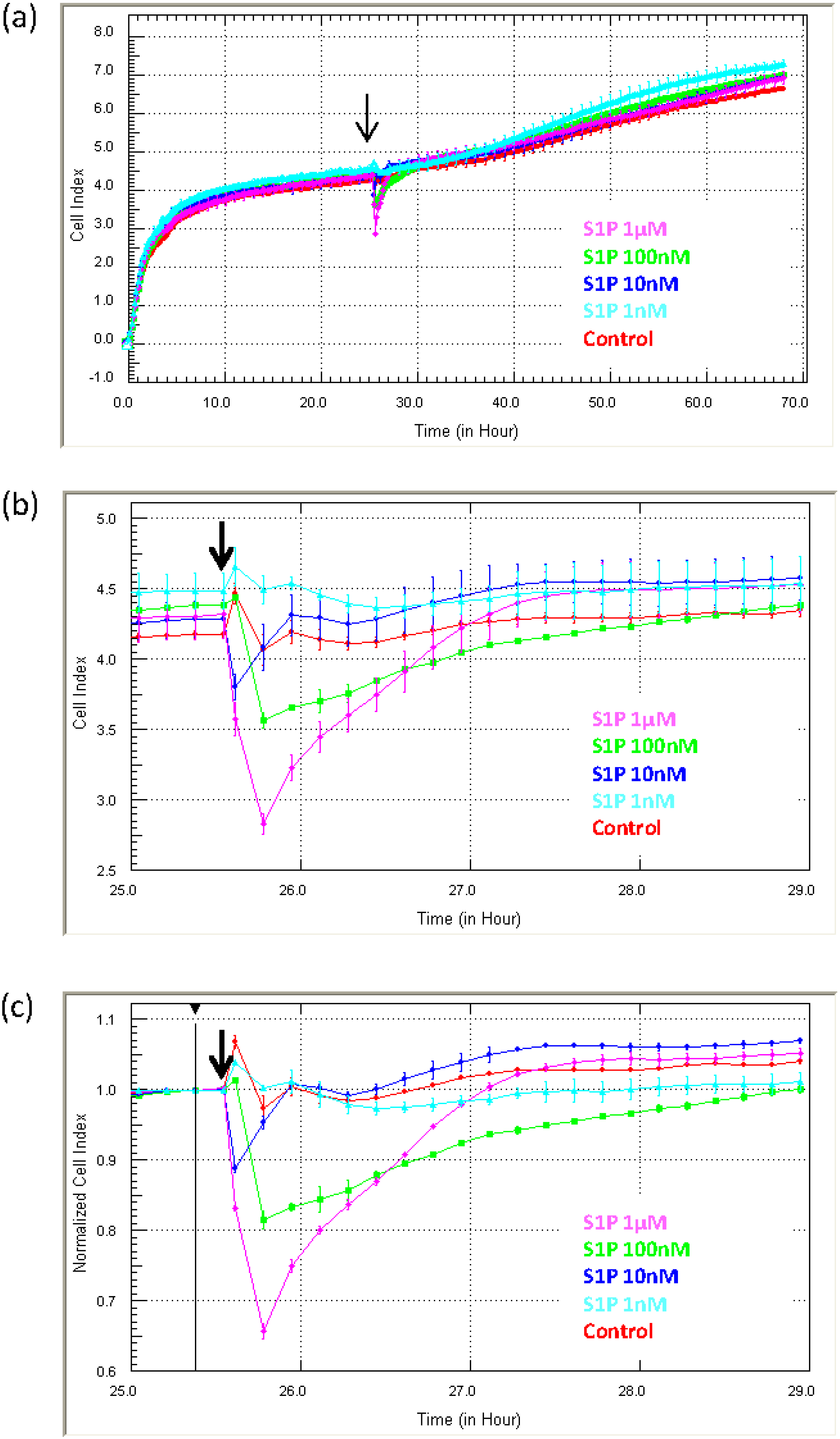 Biosensors 05 00199 g006