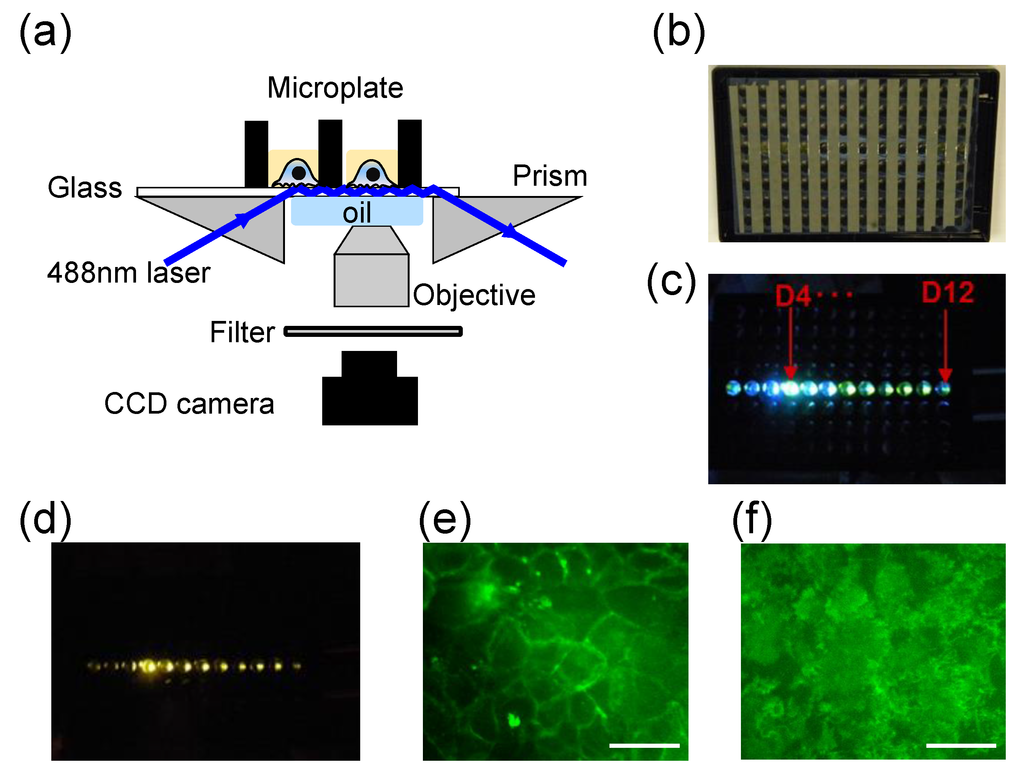 Biosensors 05 00223 g002 1024