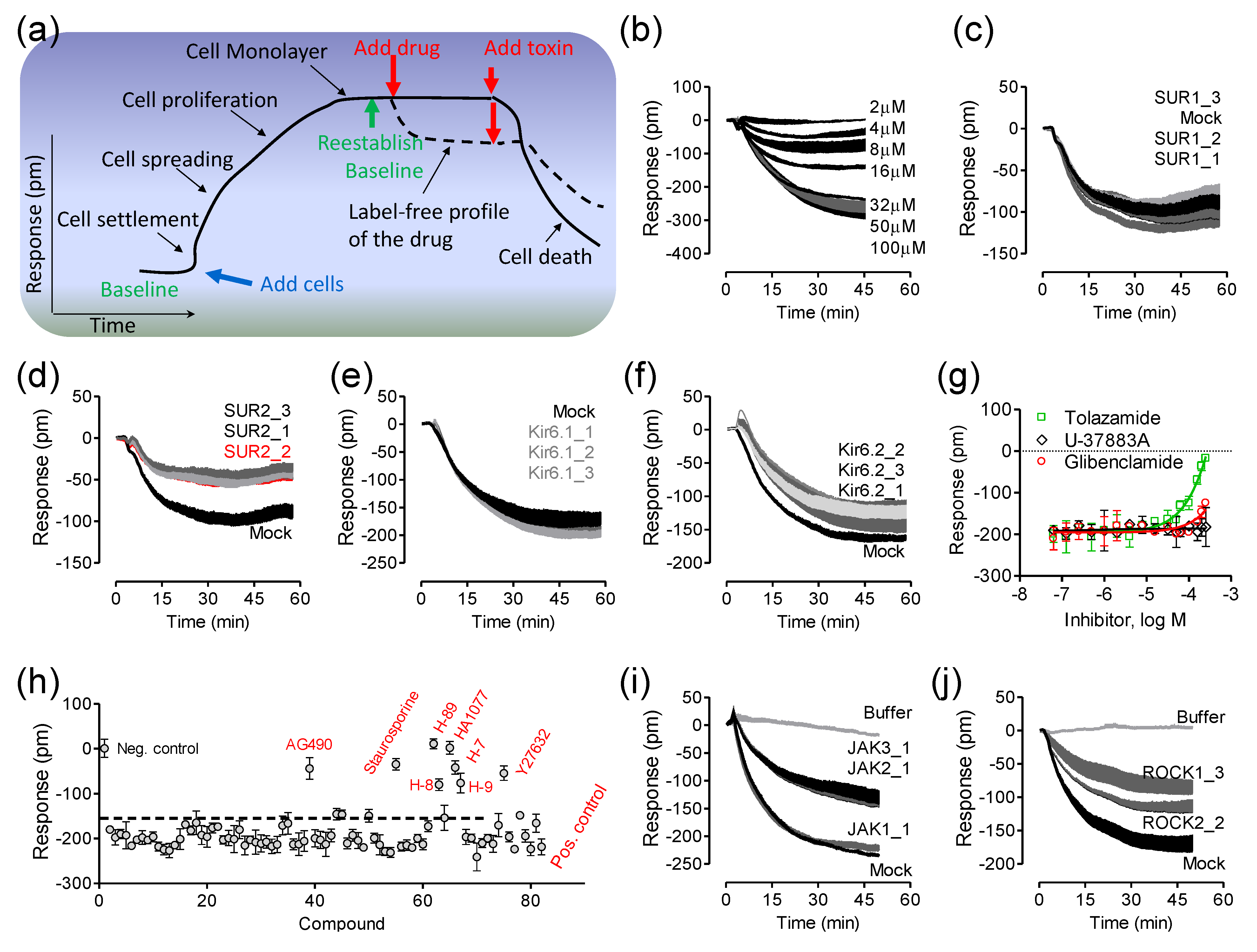 Biosensors 05 00223 g004