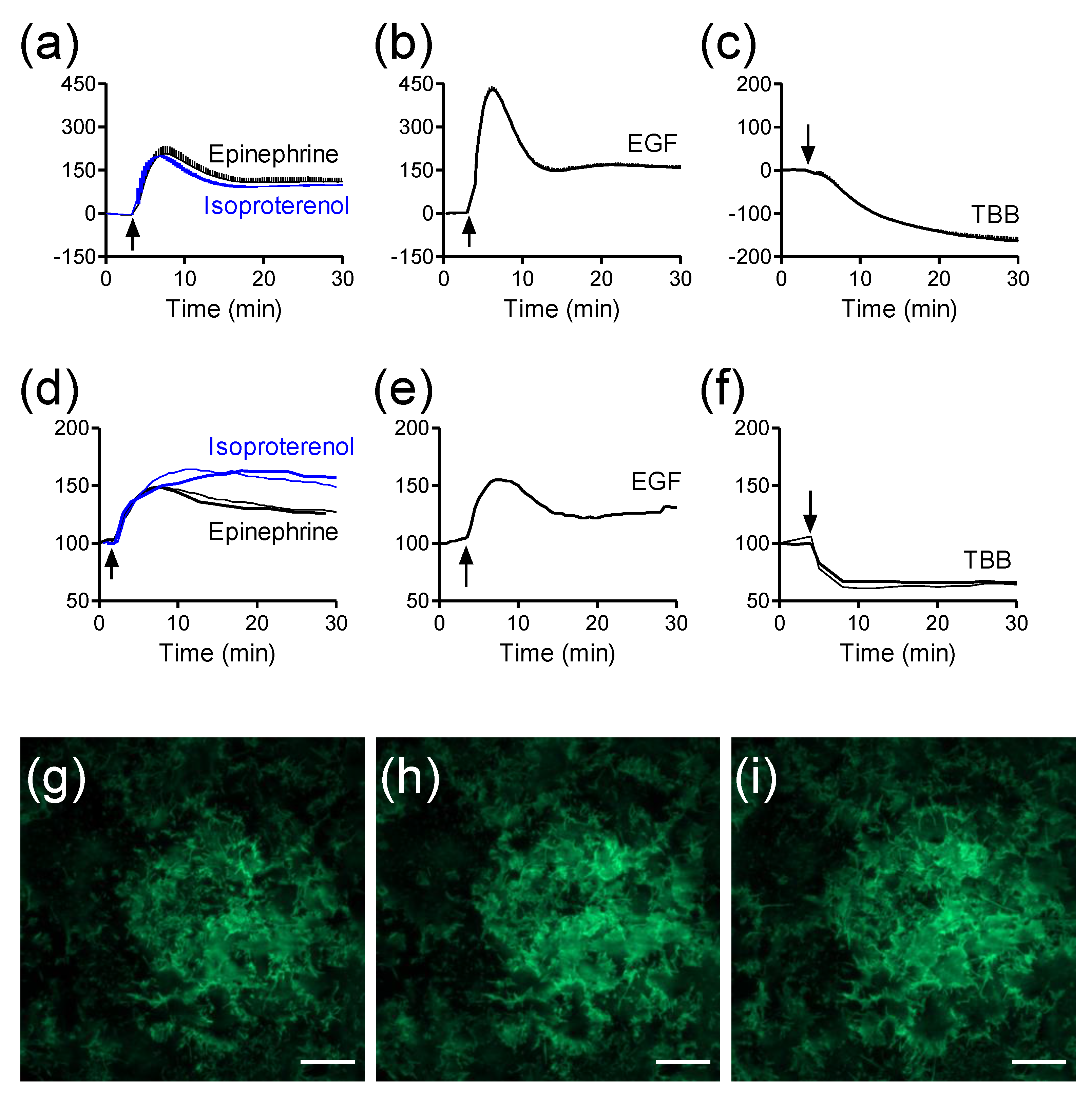 Biosensors 05 00223 g005