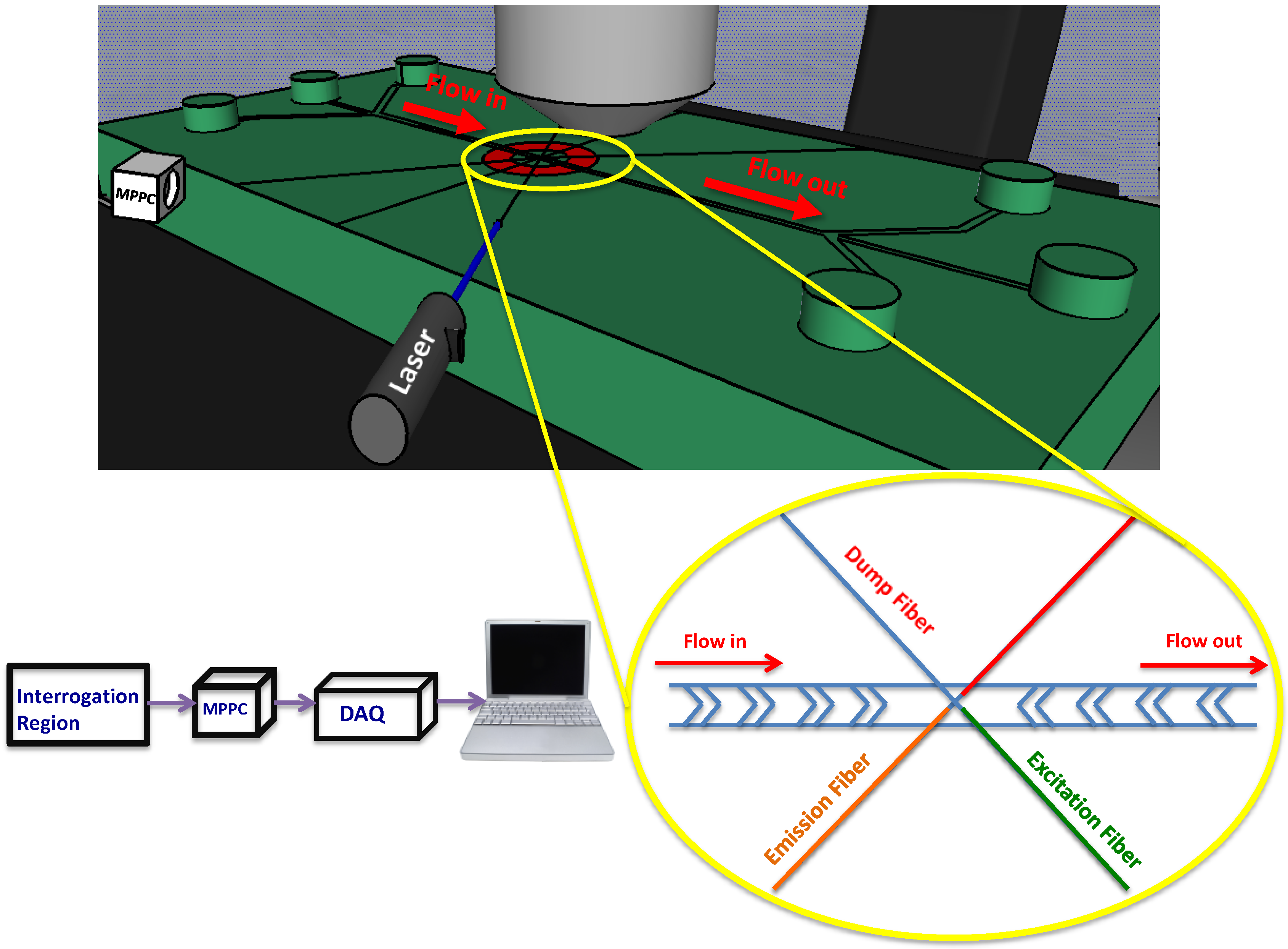 Biosensors 05 00308 g001
