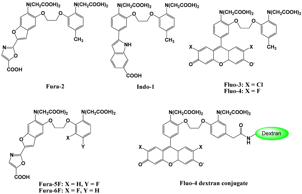 Biosensors 05 00337 g003 1024