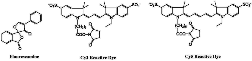 Biosensors 05 00337 g010 1024