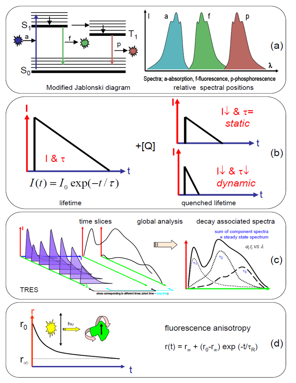 Biosensors 05 00367 g001 1024