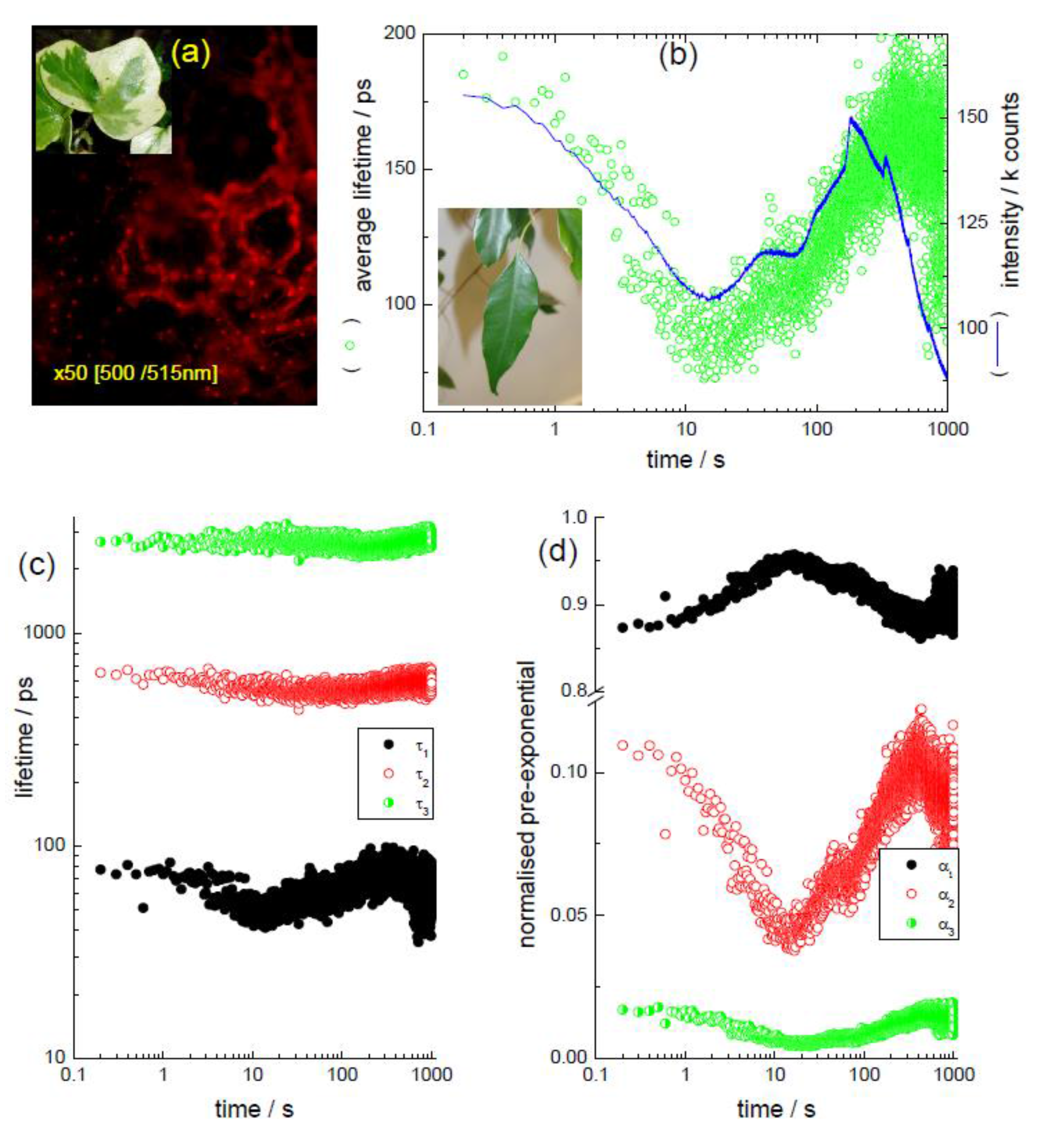 Biosensors 05 00367 g002