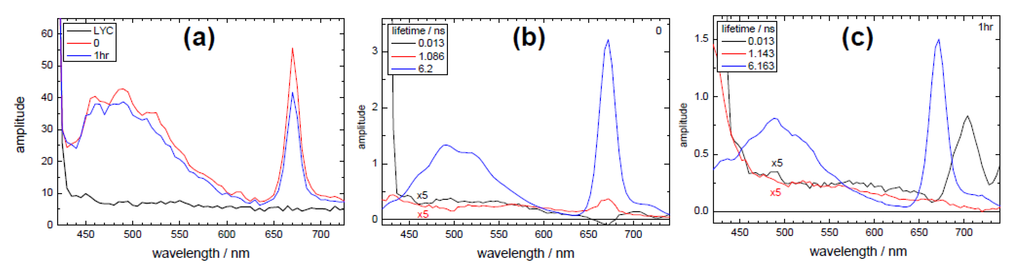 Biosensors 05 00367 g005 1024