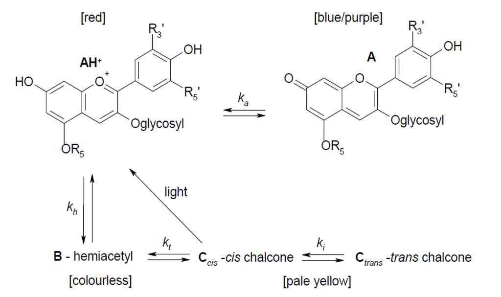 Biosensors 05 00367 g014 1024