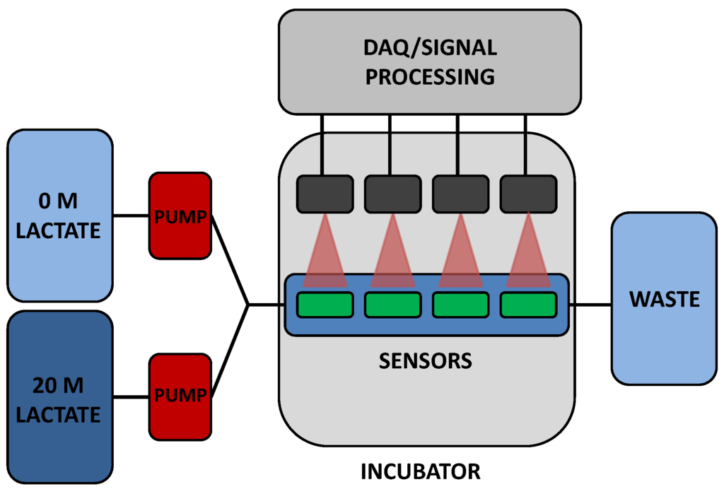 Biosensors 05 00398 g001 1024