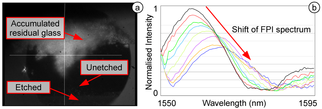 Biosensors 05 00432 g010 1024