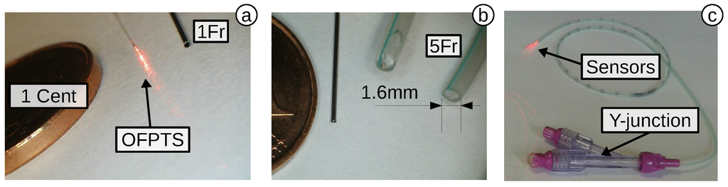 Biosensors 05 00432 g018 1024