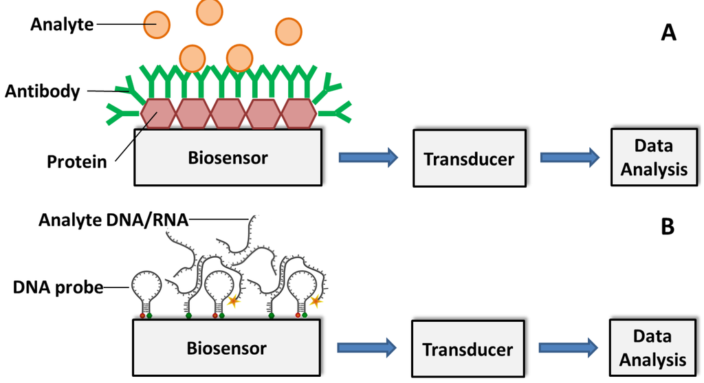 Biosensors 05 00537 g003 1024