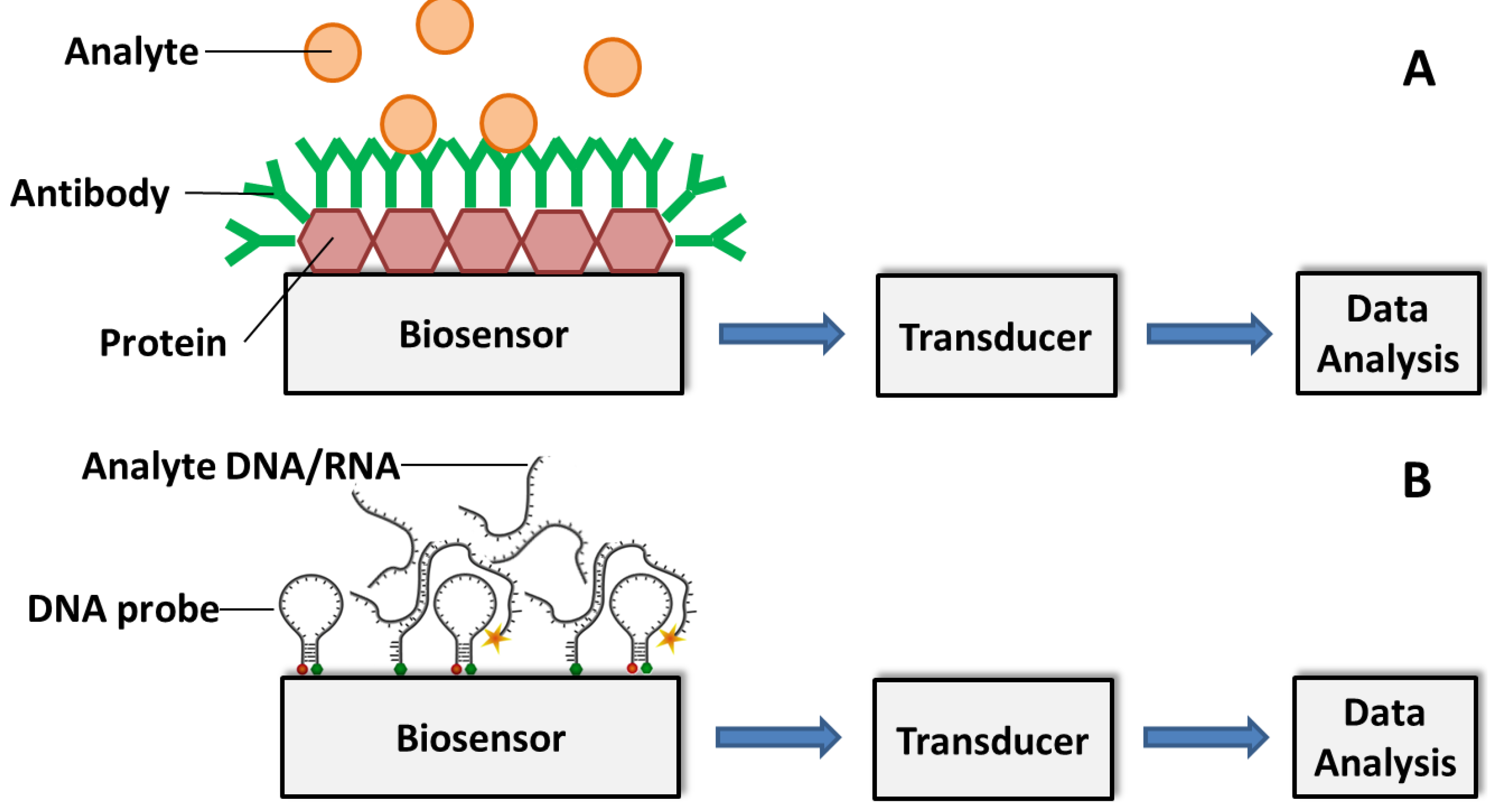 Biosensors 05 00537 g003