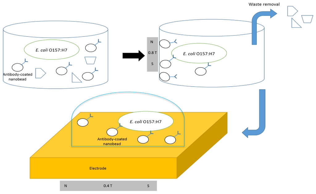Biosensors 05 00791 g001 1024