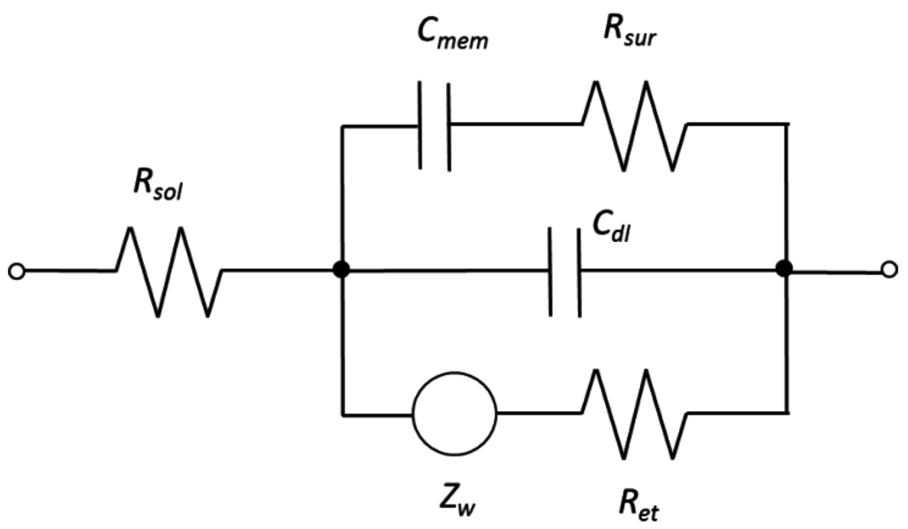 Biosensors 05 00791 g003 1024