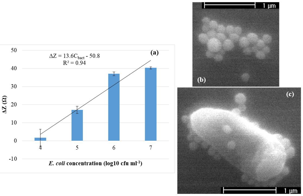 Biosensors 05 00791 g004 1024
