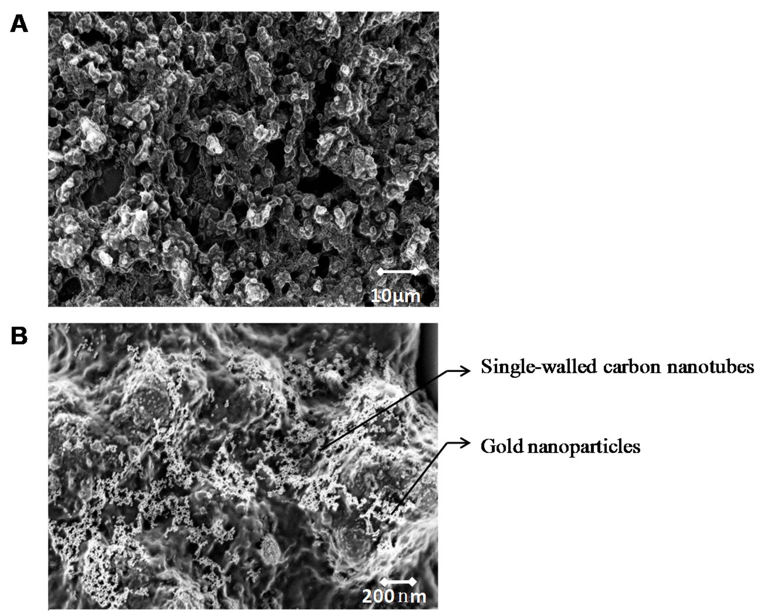 Biosensors 06 00010 g003