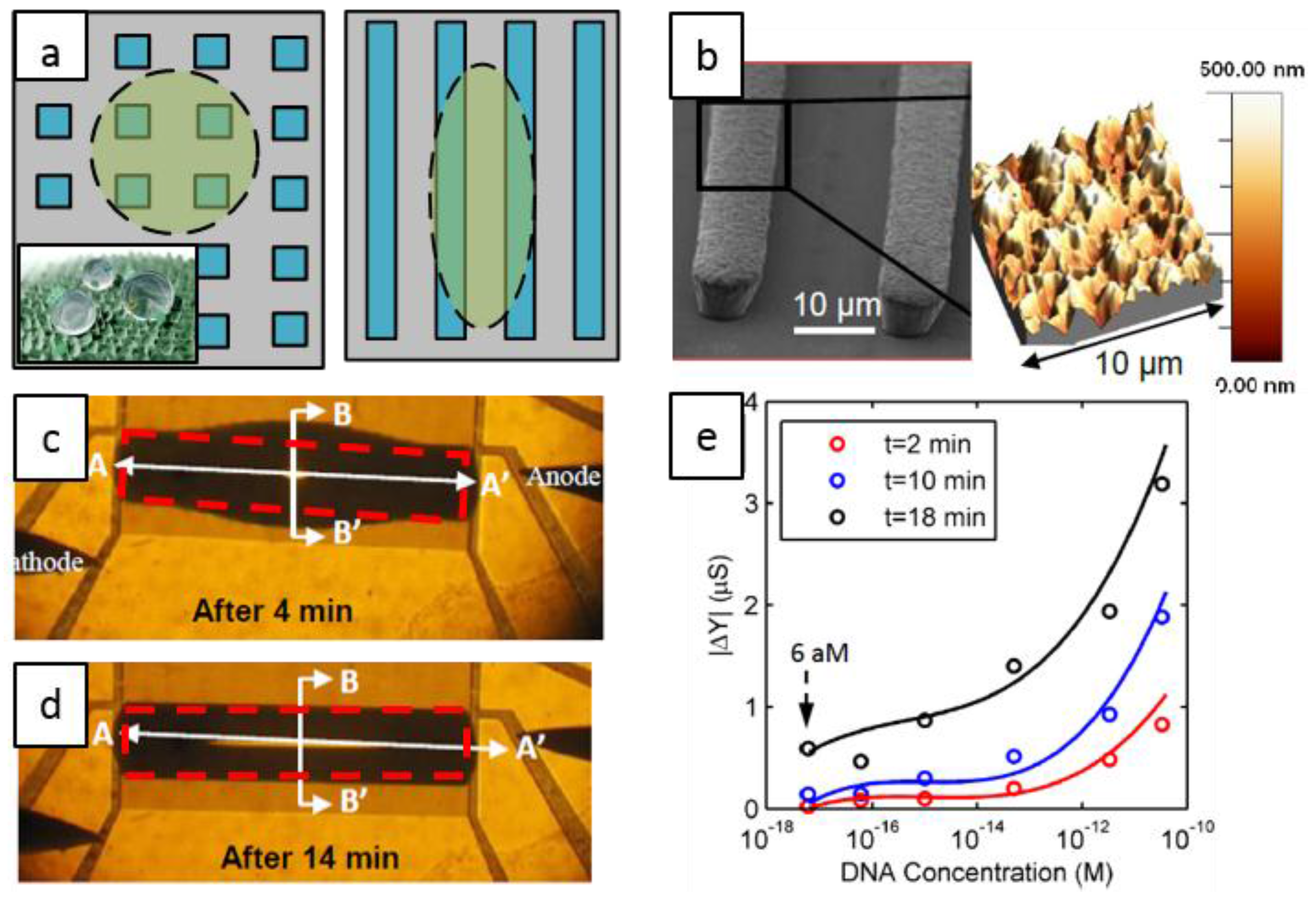 Biosensors 06 00014 g002