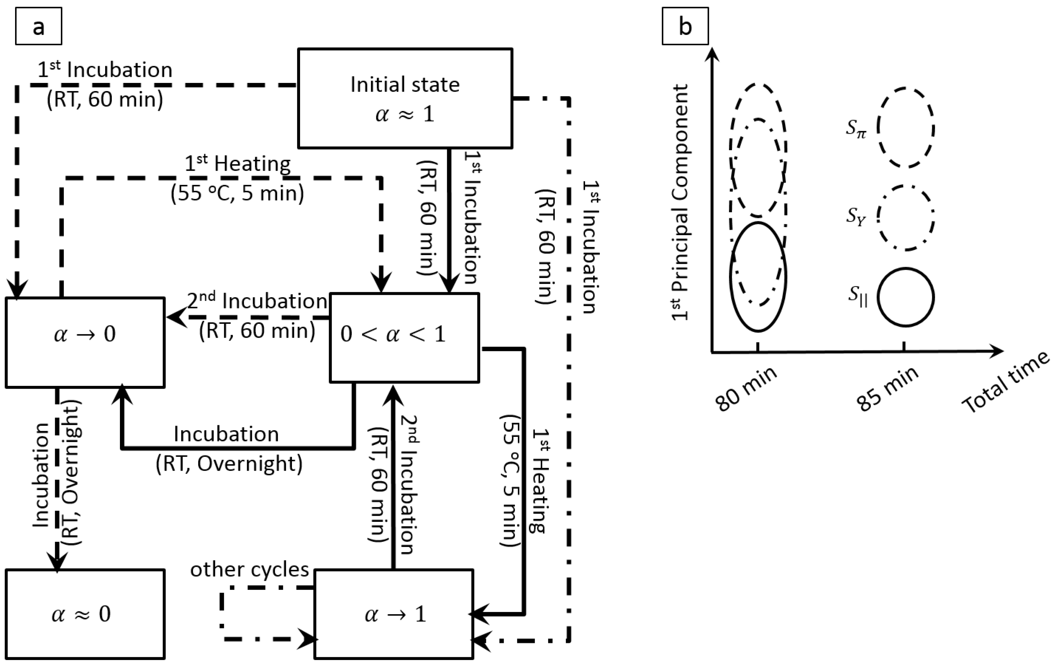 Biosensors 06 00014 g006