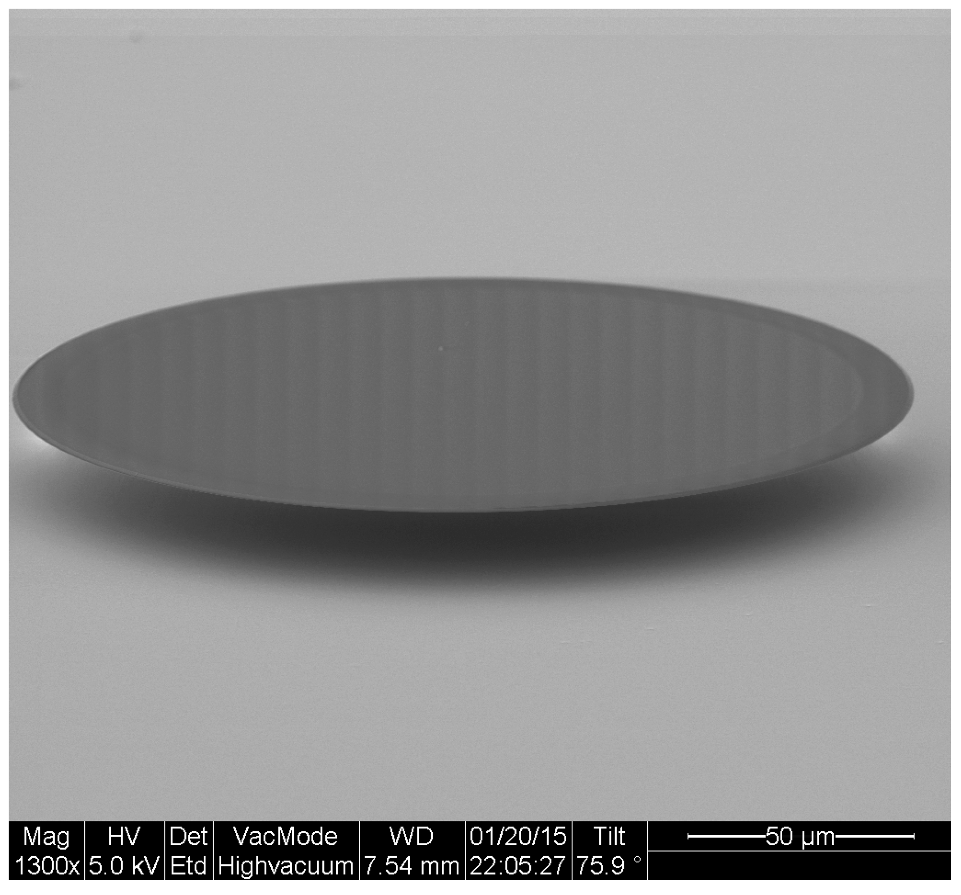 Biosensors 06 00020 g001