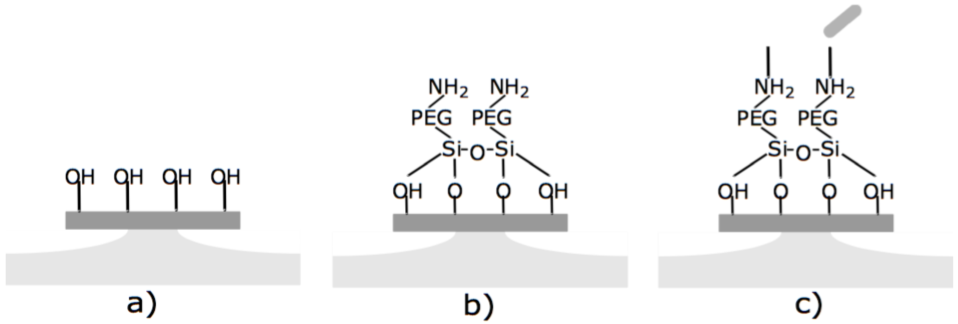 Biosensors 06 00020 g002