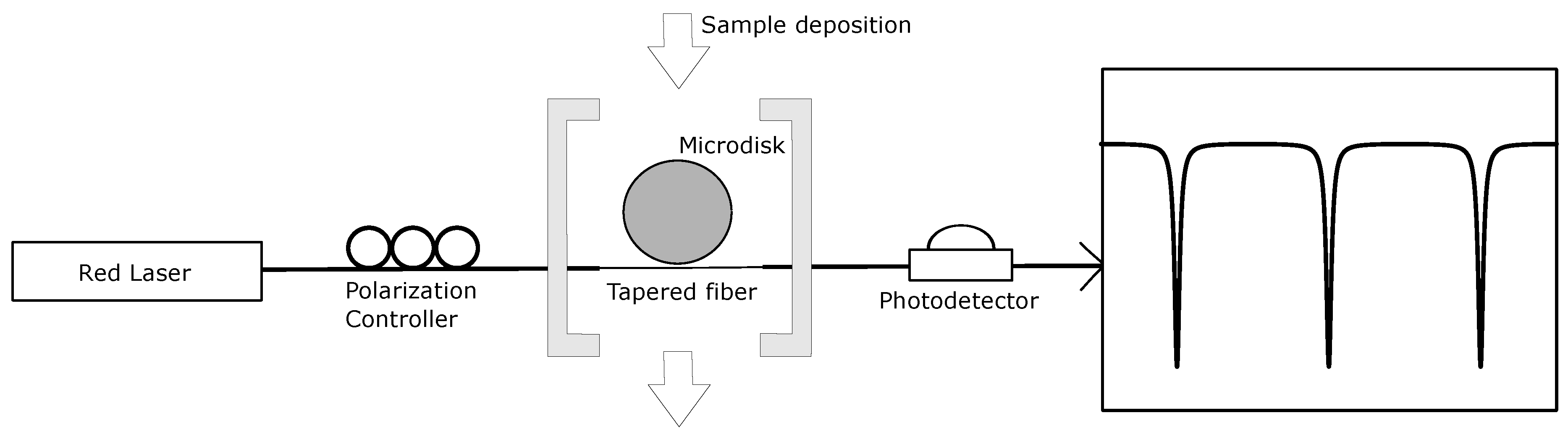 Biosensors 06 00020 g003