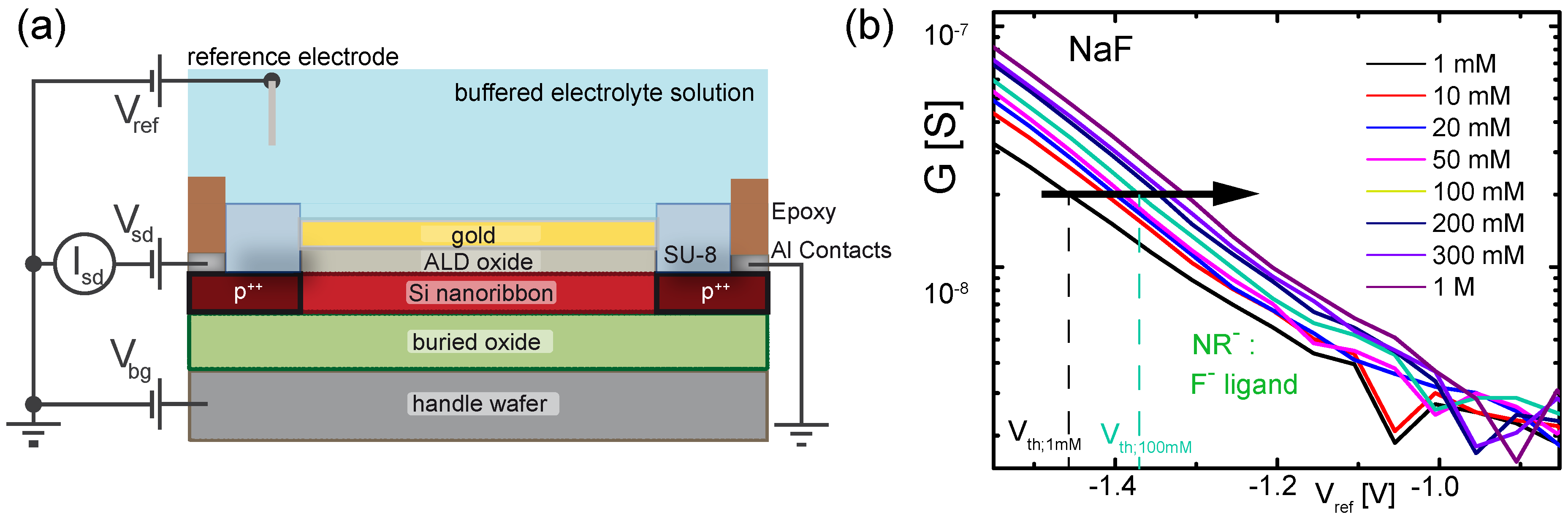 Biosensors 06 00021 g002