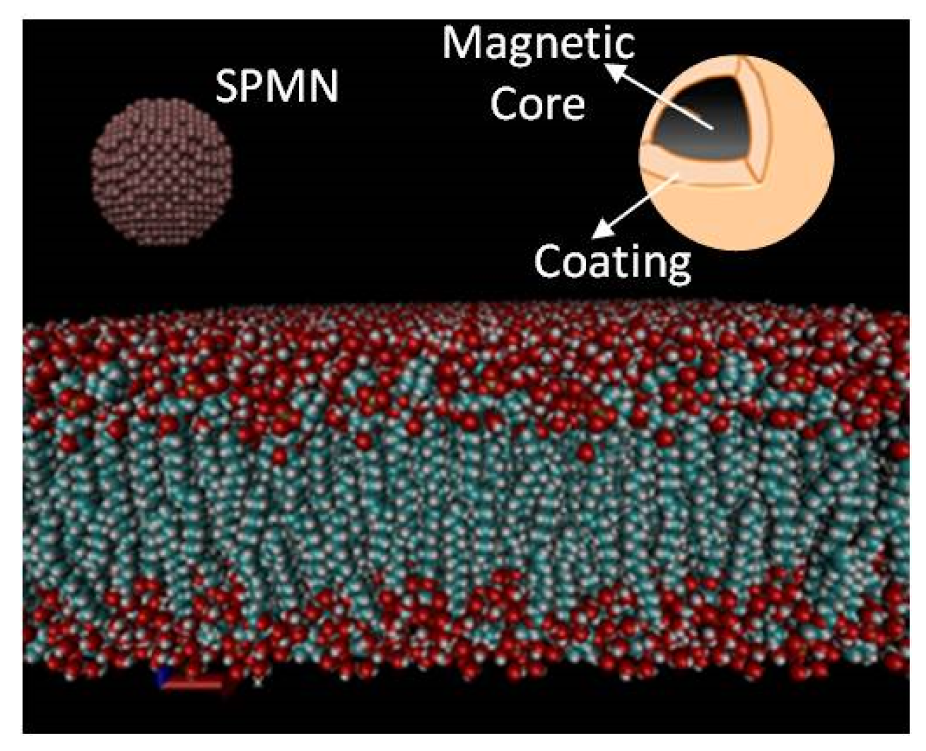 Biosensors 06 00025 g004