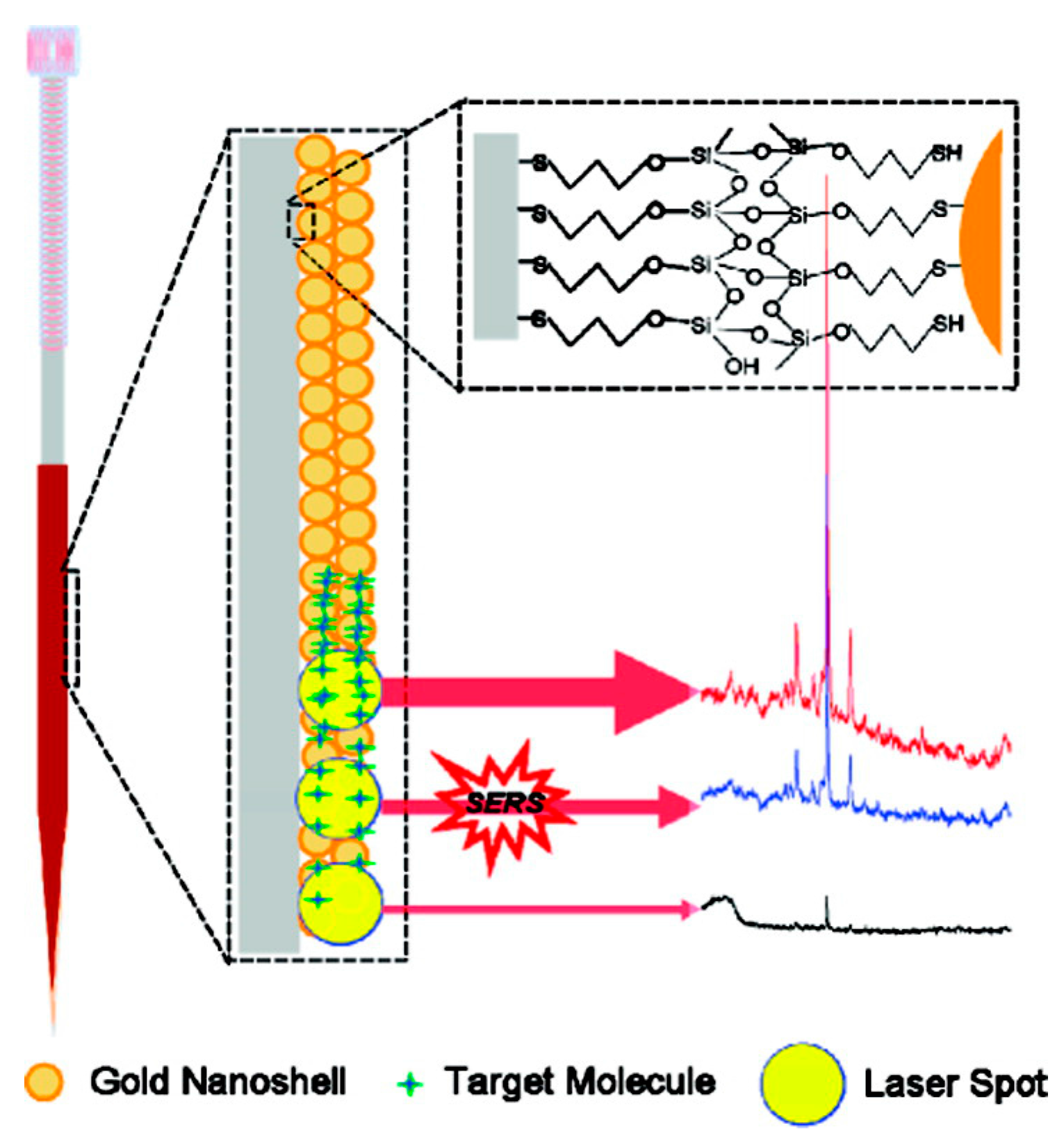 Biosensors 06 00047 g003