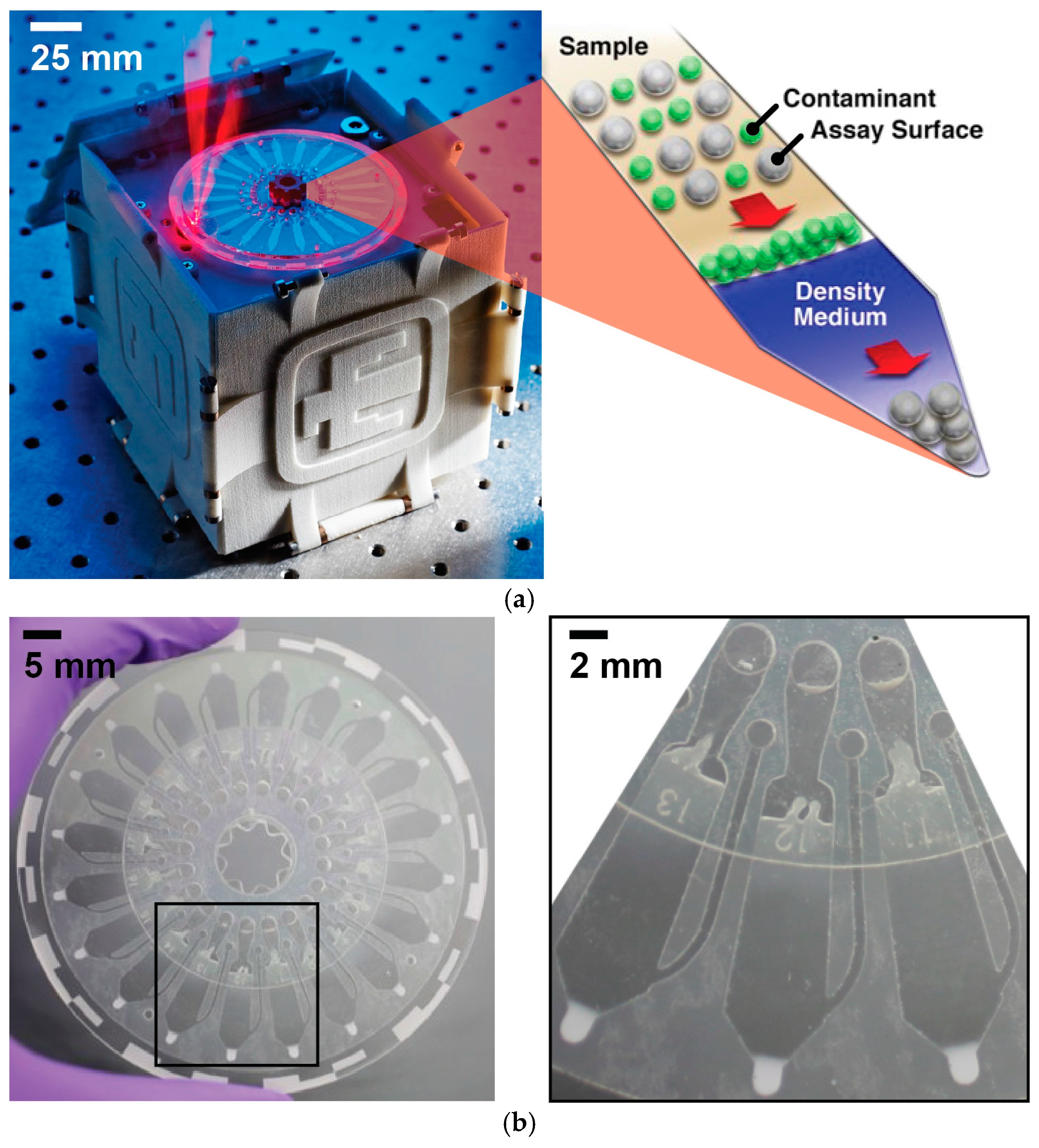 Biosensors 06 00049 g001