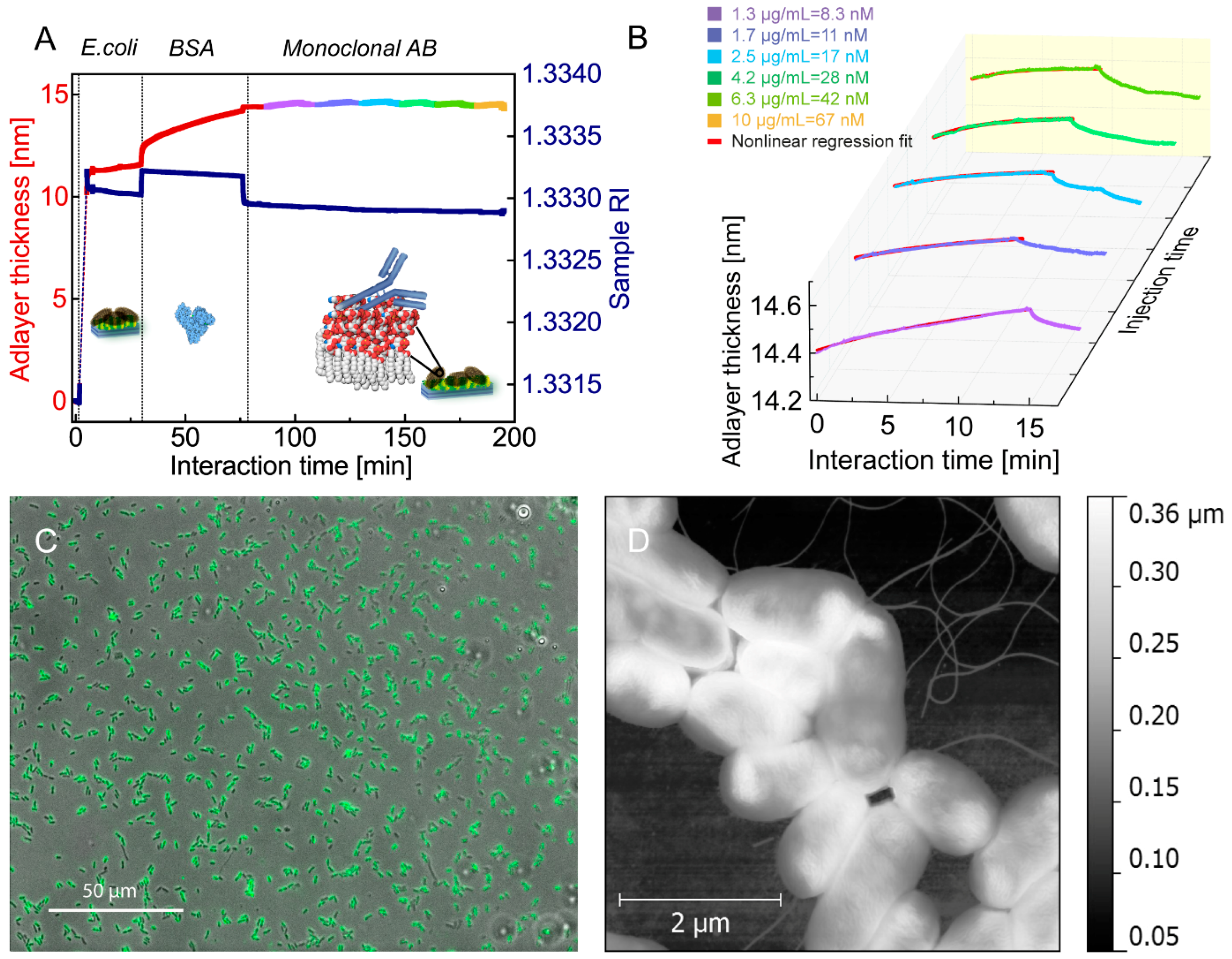 Biosensors 06 00052 g002