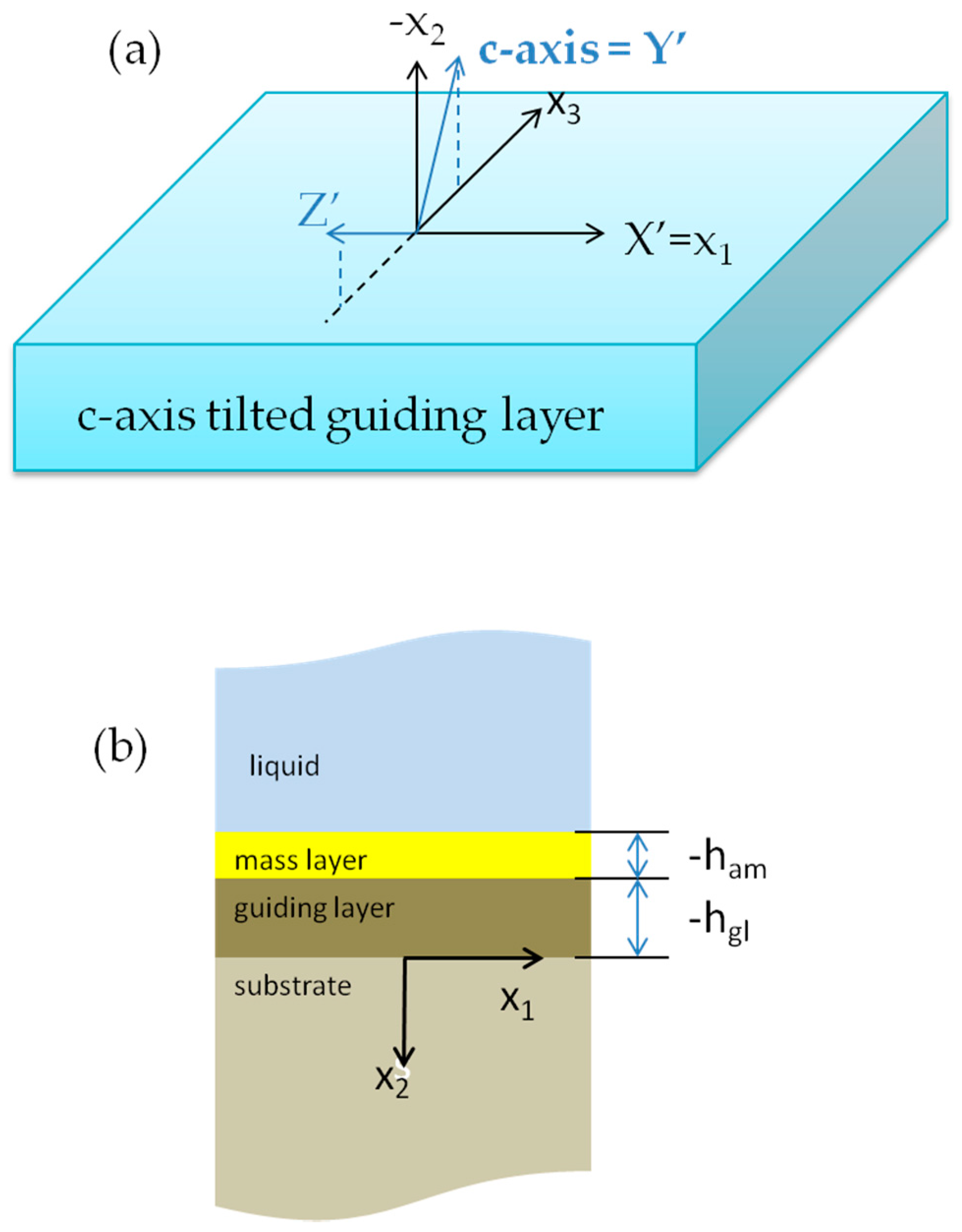 Biosensors 06 00059 g001