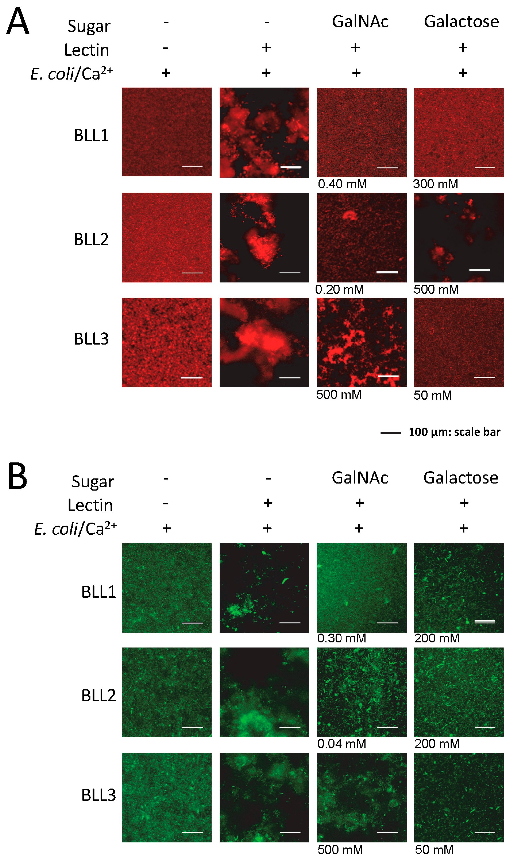 Biosensors 07 00012 g003