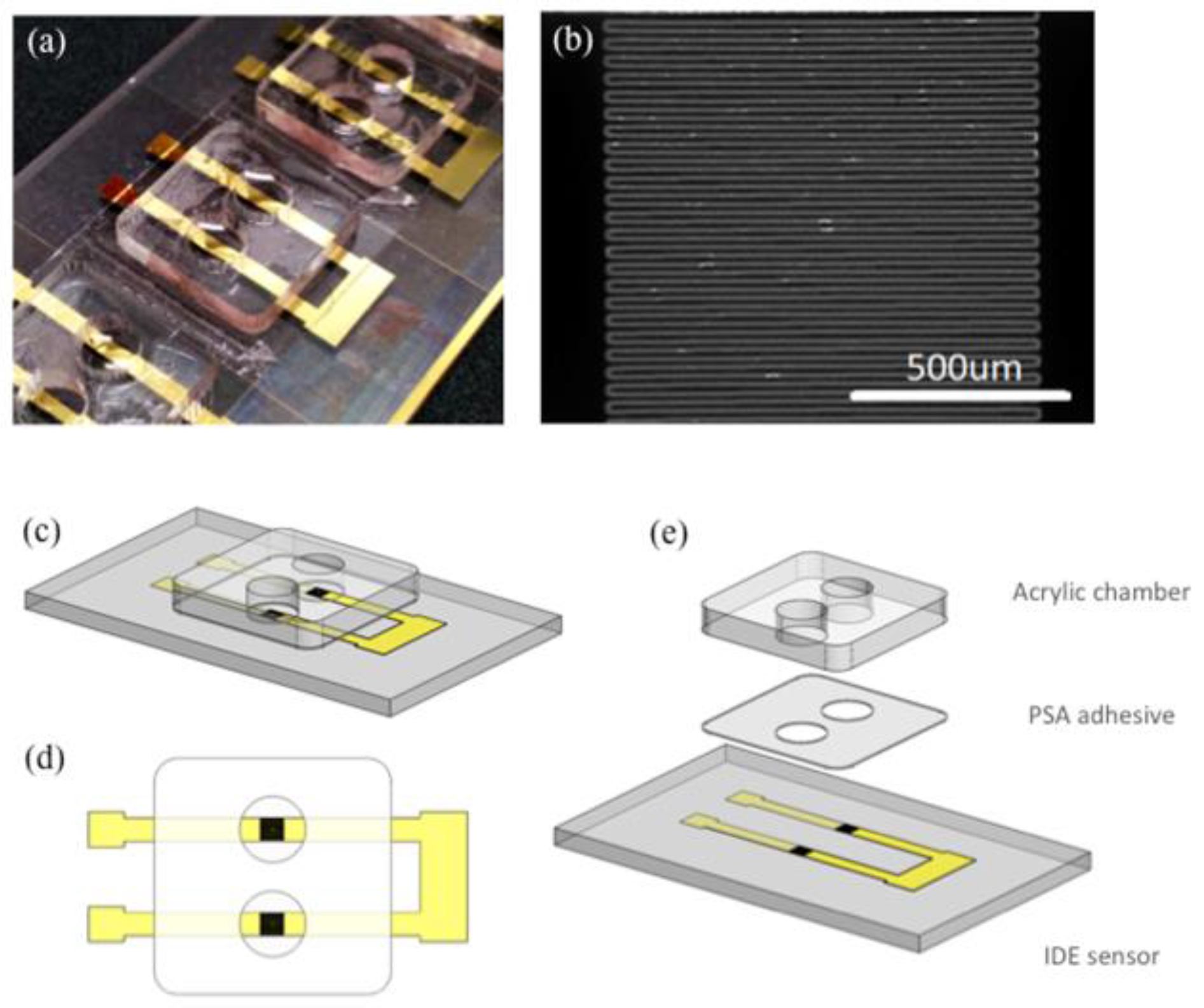 Biosensors 07 00019 g001