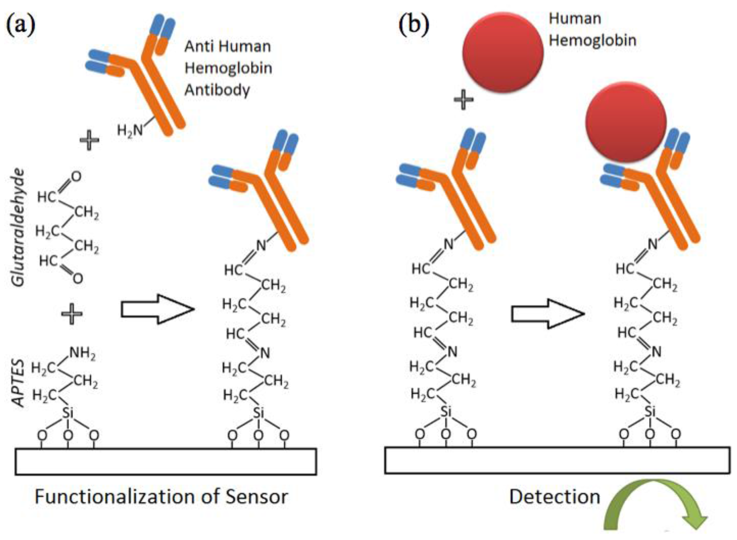 Biosensors 07 00019 g002