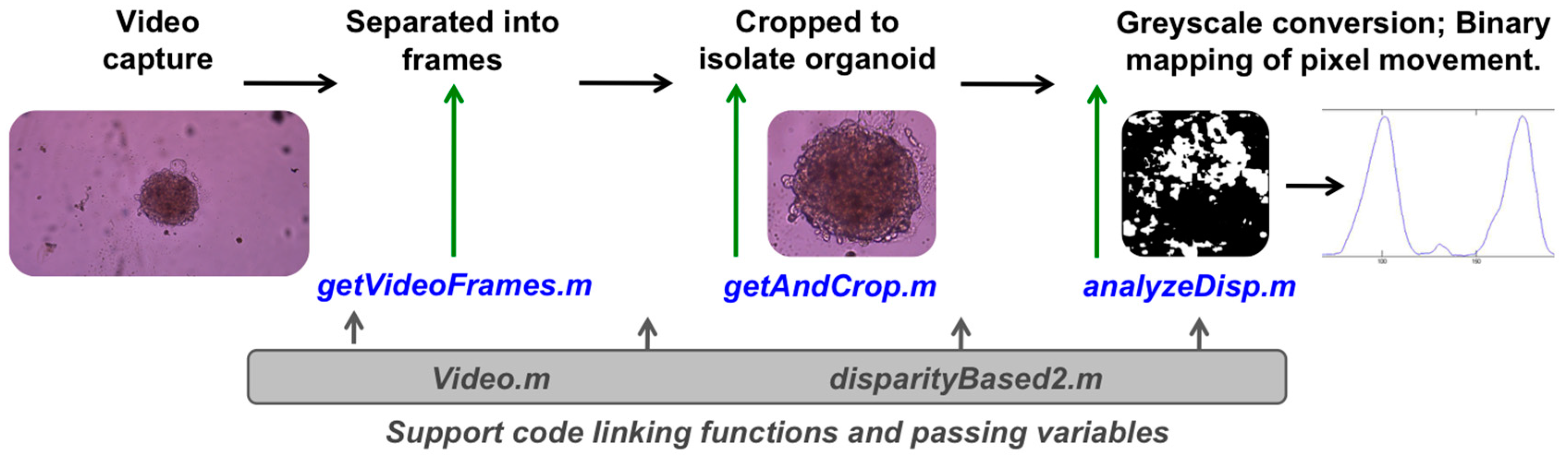 Biosensors 07 00024 g002