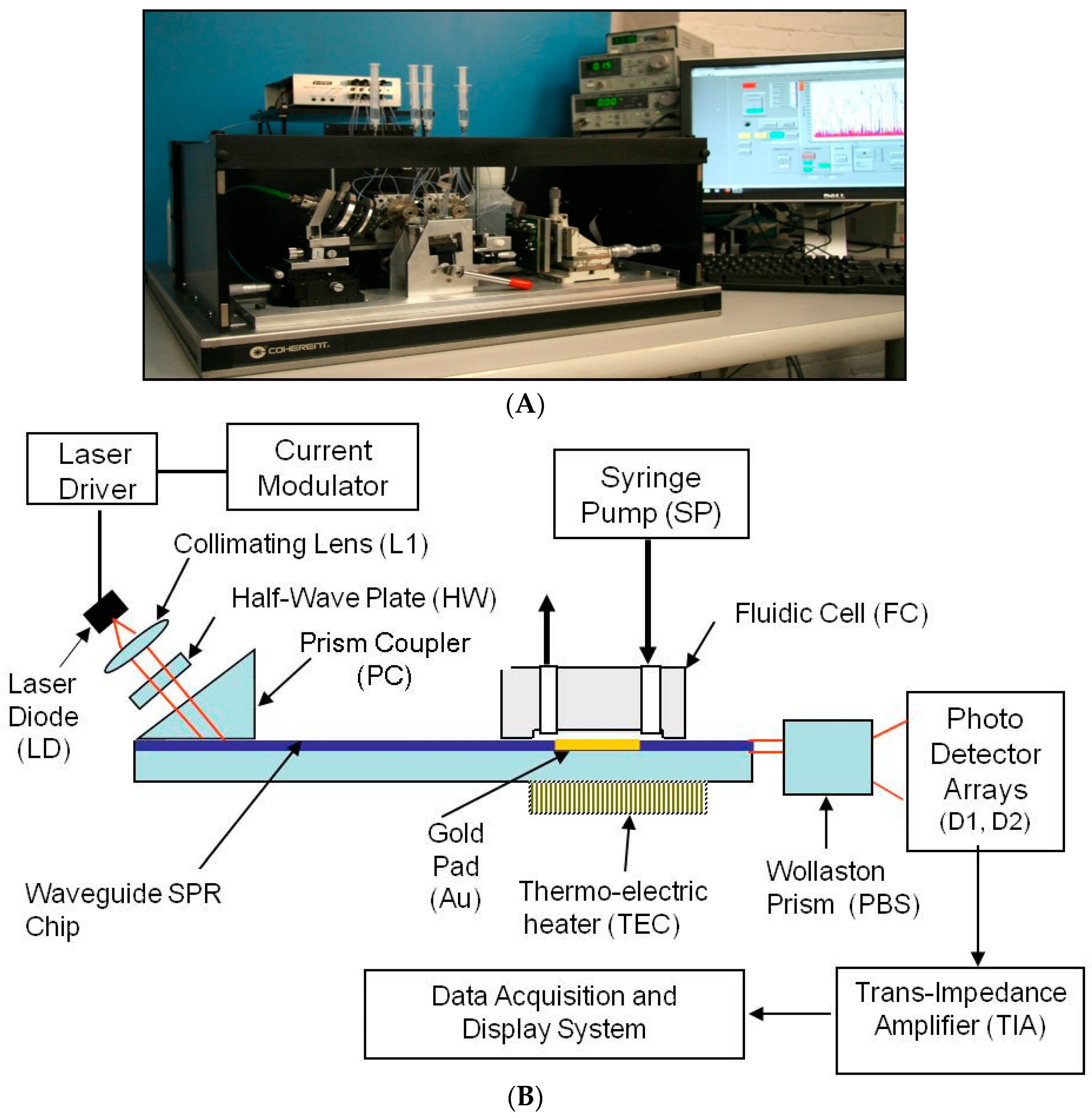 Biosensors 07 00032 g001