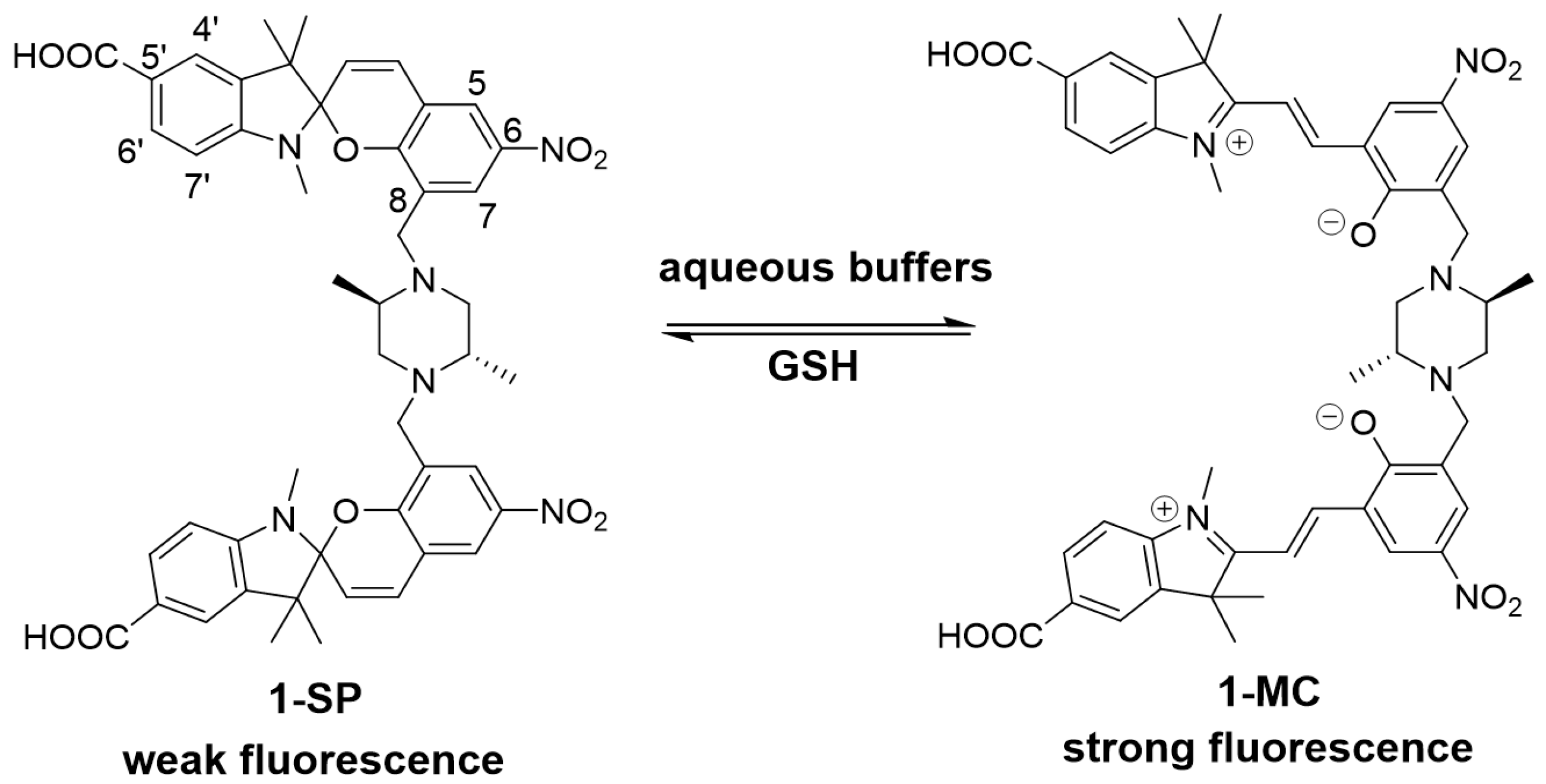 Biosensors 07 00036 g001