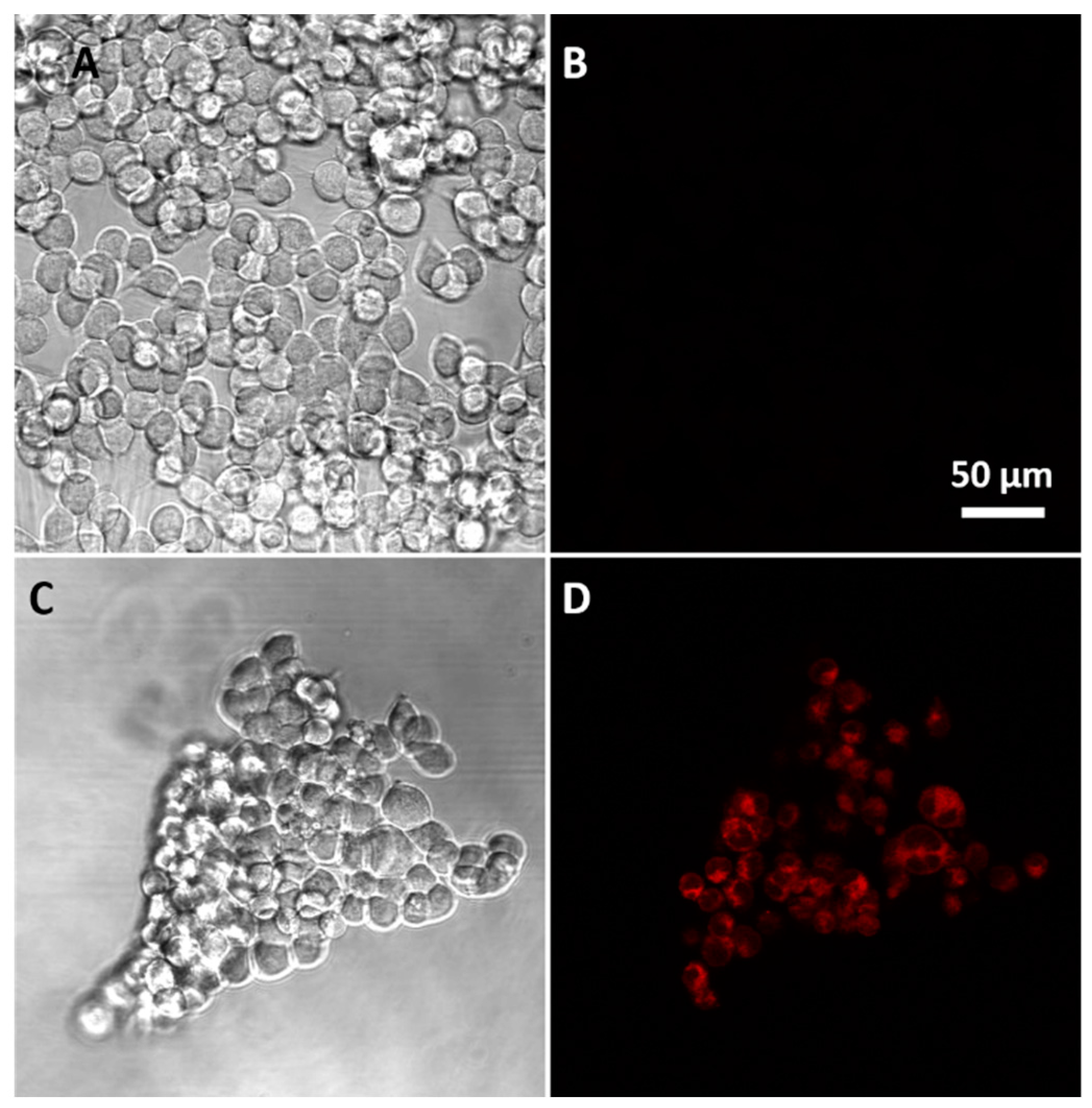 Biosensors 07 00036 g008