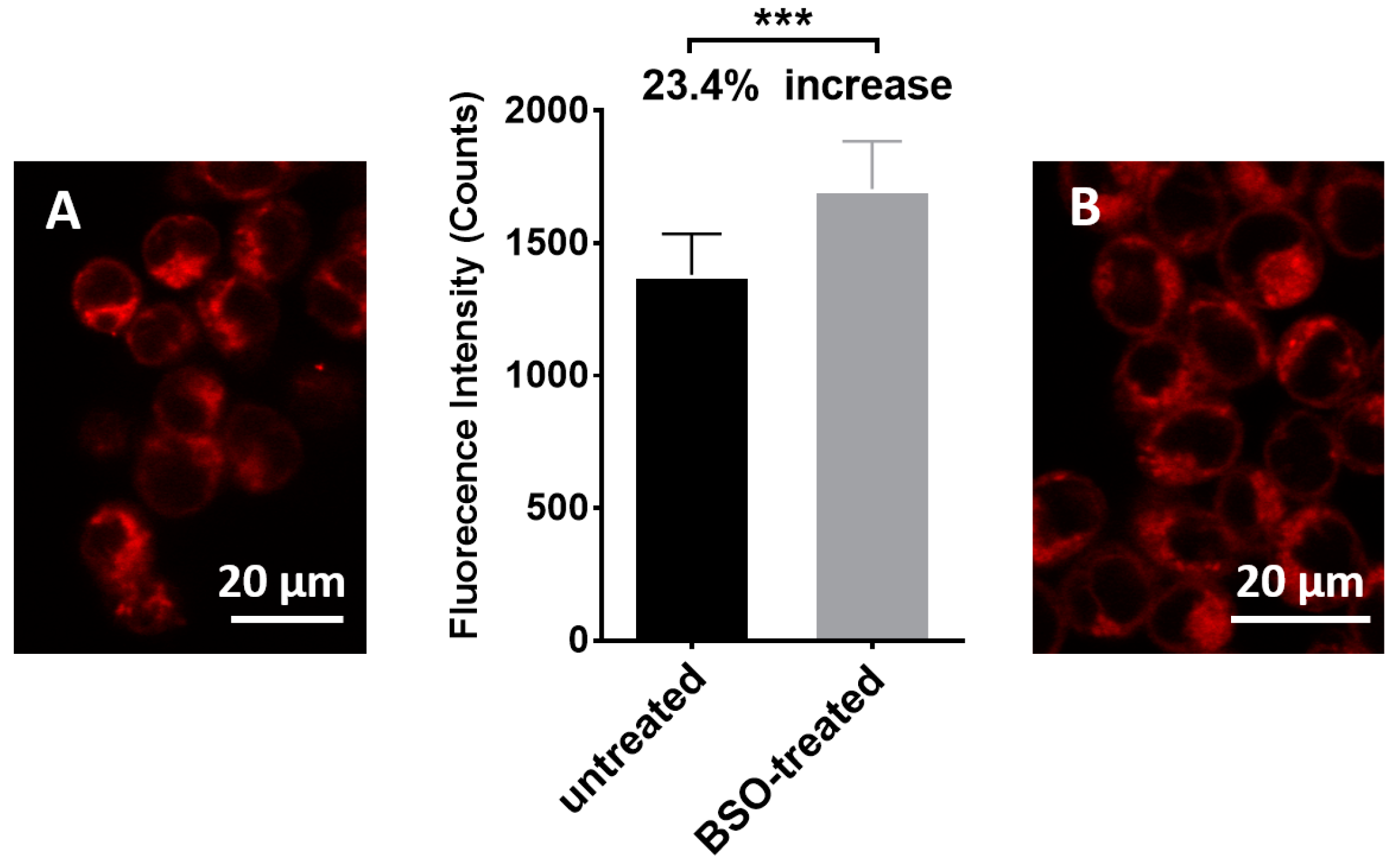 Biosensors 07 00036 g009