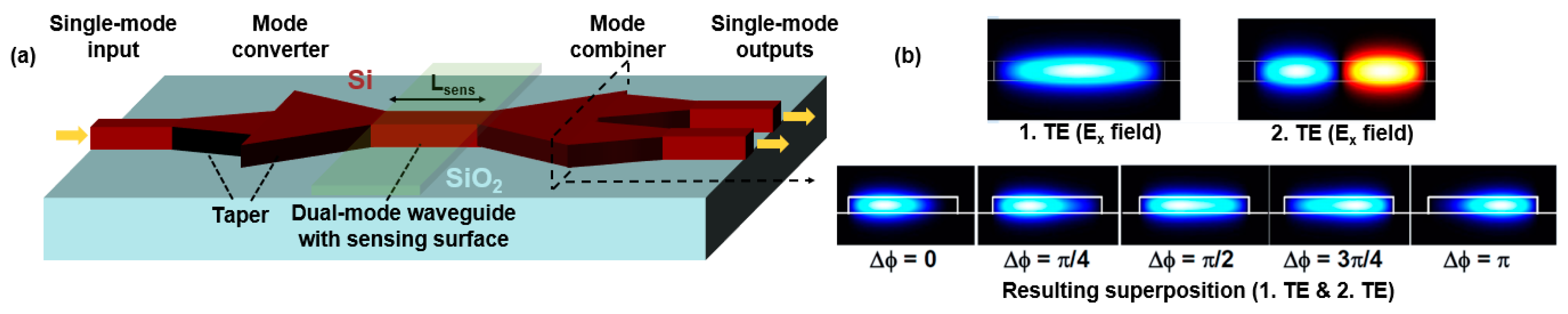 Biosensors 07 00037 g001