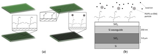 Biosensors 07 00037 g008 550