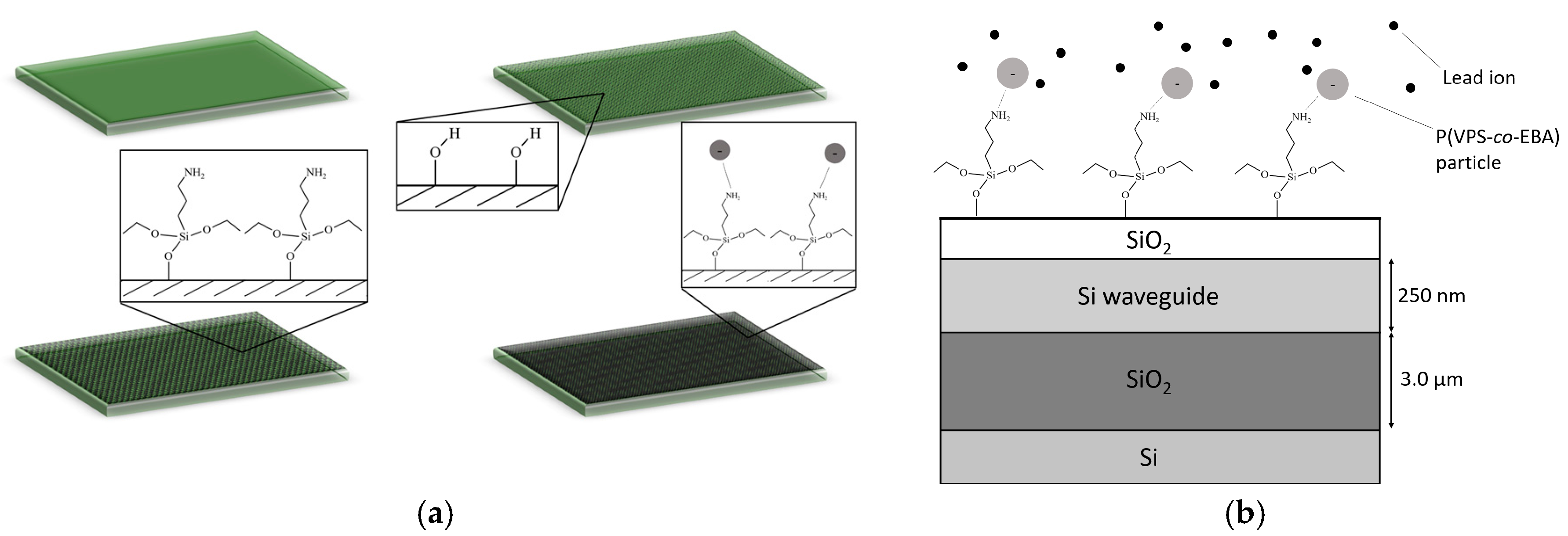 Biosensors 07 00037 g008