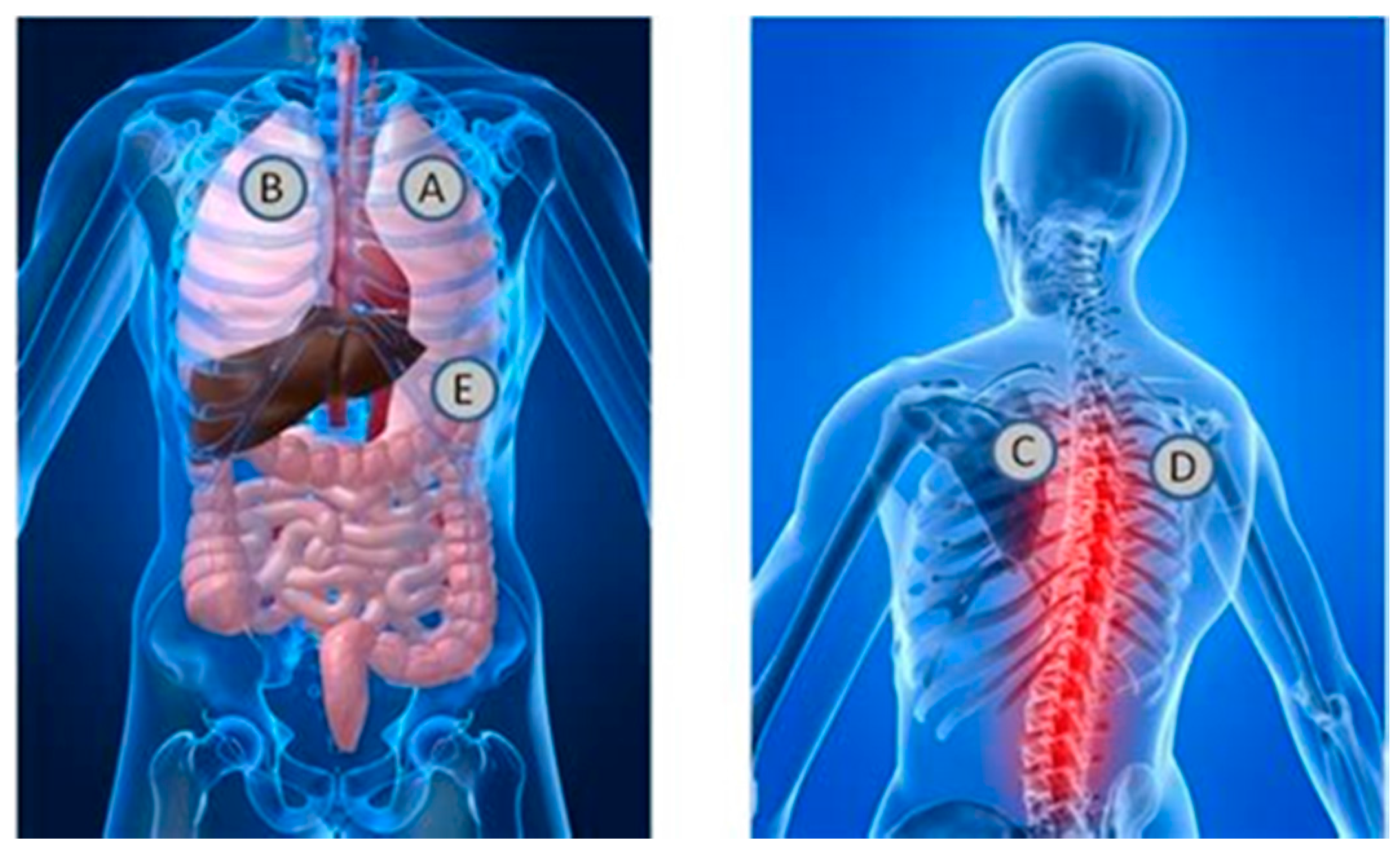 Biosensors 07 00040 g002